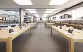 家电零售店回头客超六成，口碑与服务铸就稳固客群